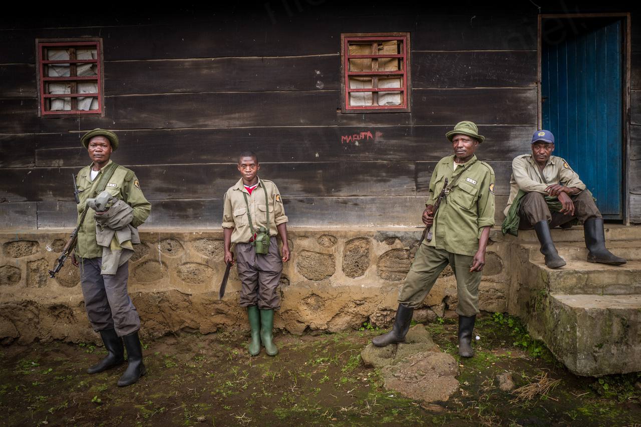 Virunga, DR Congo